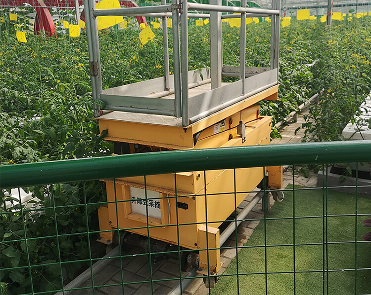 Orchard Picking Lift Platform